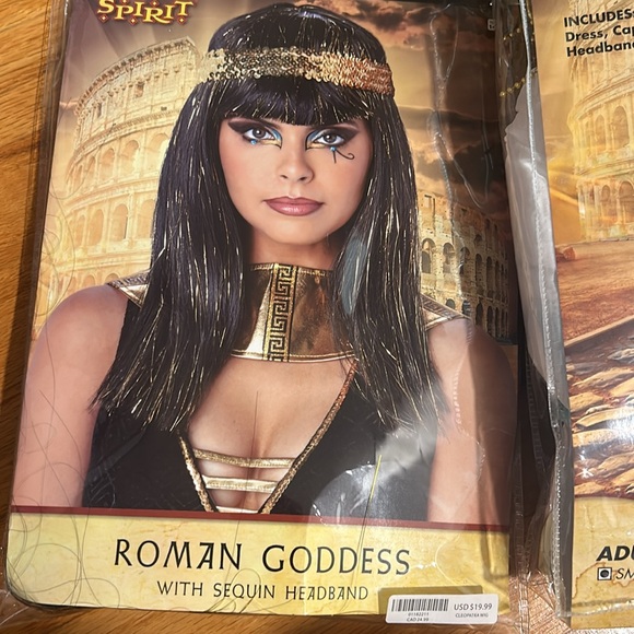 Cleopatra adult small 4-6 costume and Roman Goddess wig - Picture 3 of 4